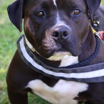 maya-spa vaucluse