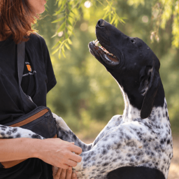 tango-spa vaucluse