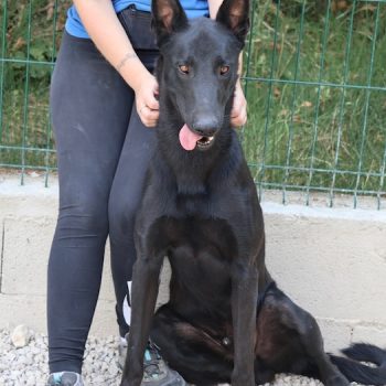 zako-spa vaucluse