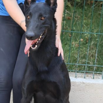 zako-spa vaucluse