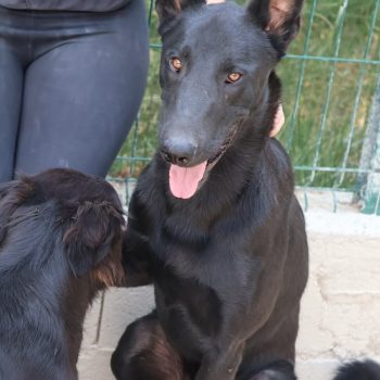 zako-spa vaucluse